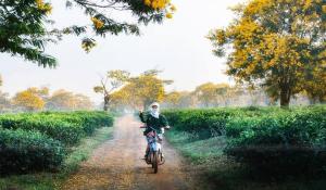 Đạp xe xuyên rừng Yok Đôn ngắm voi